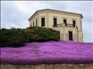 Alghero, house with nice flowers